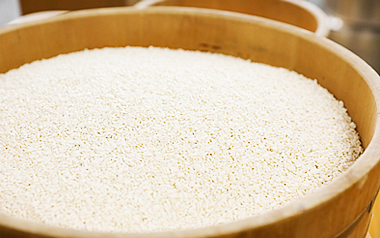 米麹を使って製造された、濃縮甘酒